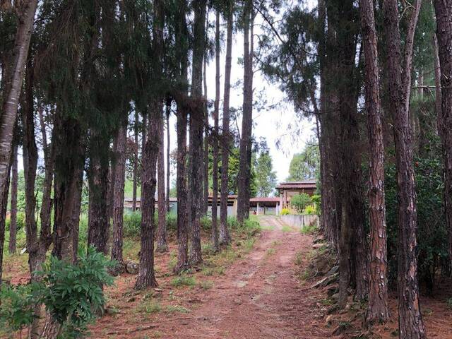 Casa para Venda em Araçoiaba da Serra - 5