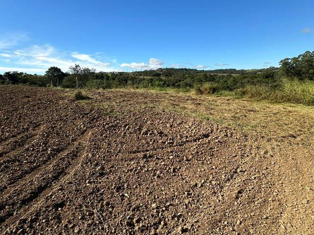 #141 - Área para Venda em Araçoiaba da Serra - SP - 3