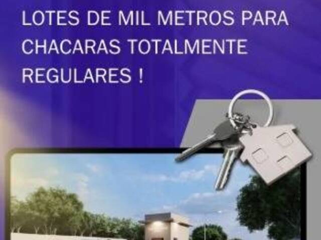 para em - 4