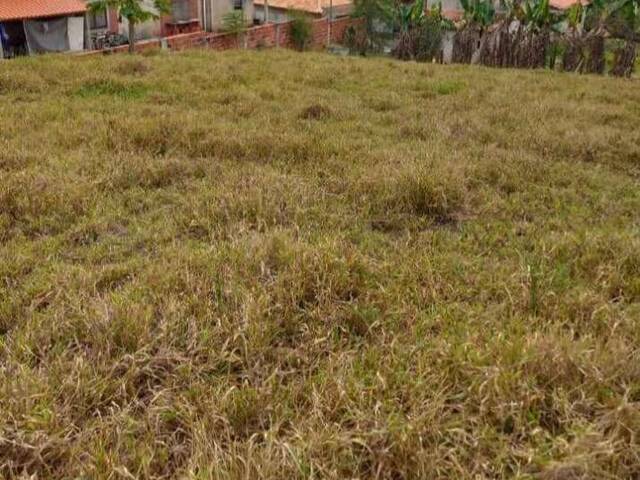 #157 - Área para Venda em Capela do Alto - SP - 2