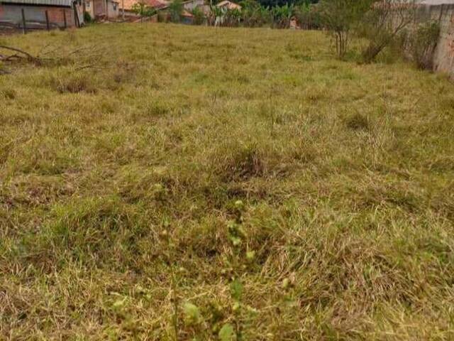 #157 - Área para Venda em Capela do Alto - SP - 3