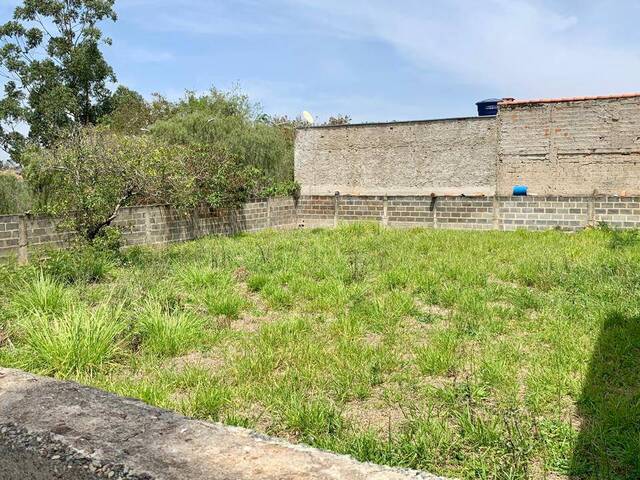 #193 - Área para Venda em Capela do Alto - SP - 3