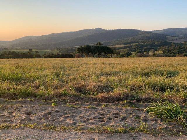 #202 - Área para Venda em Capela do Alto - SP - 2