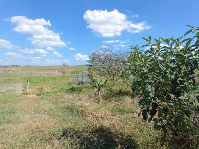 Área para Venda em Capela do Alto - 2