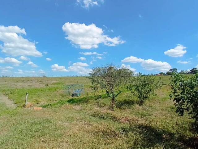 Área para Venda em Capela do Alto - 3