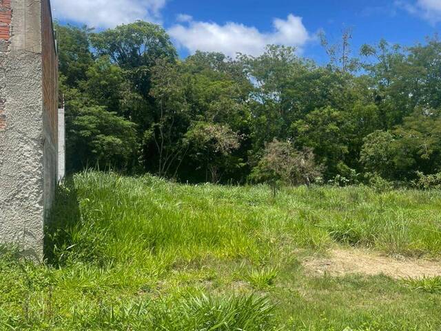 Área para Venda em Capela do Alto - 4