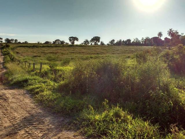 #267 - Área para Venda em Capela do Alto - SP - 3