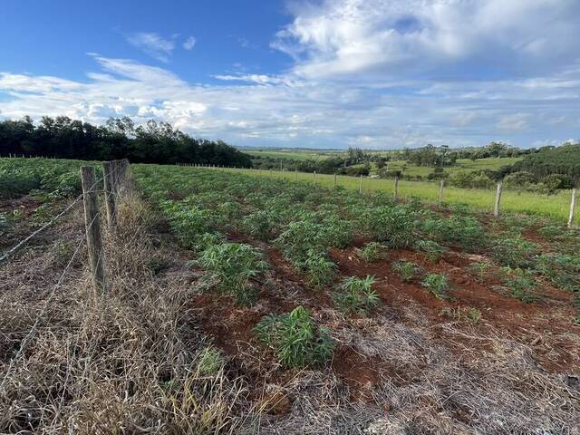 #275 - Área para Venda em Capela do Alto - SP - 2