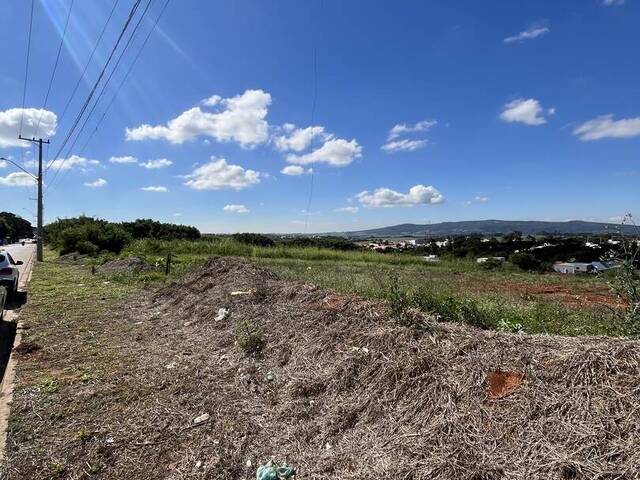 Área para Venda em Capela do Alto - 3
